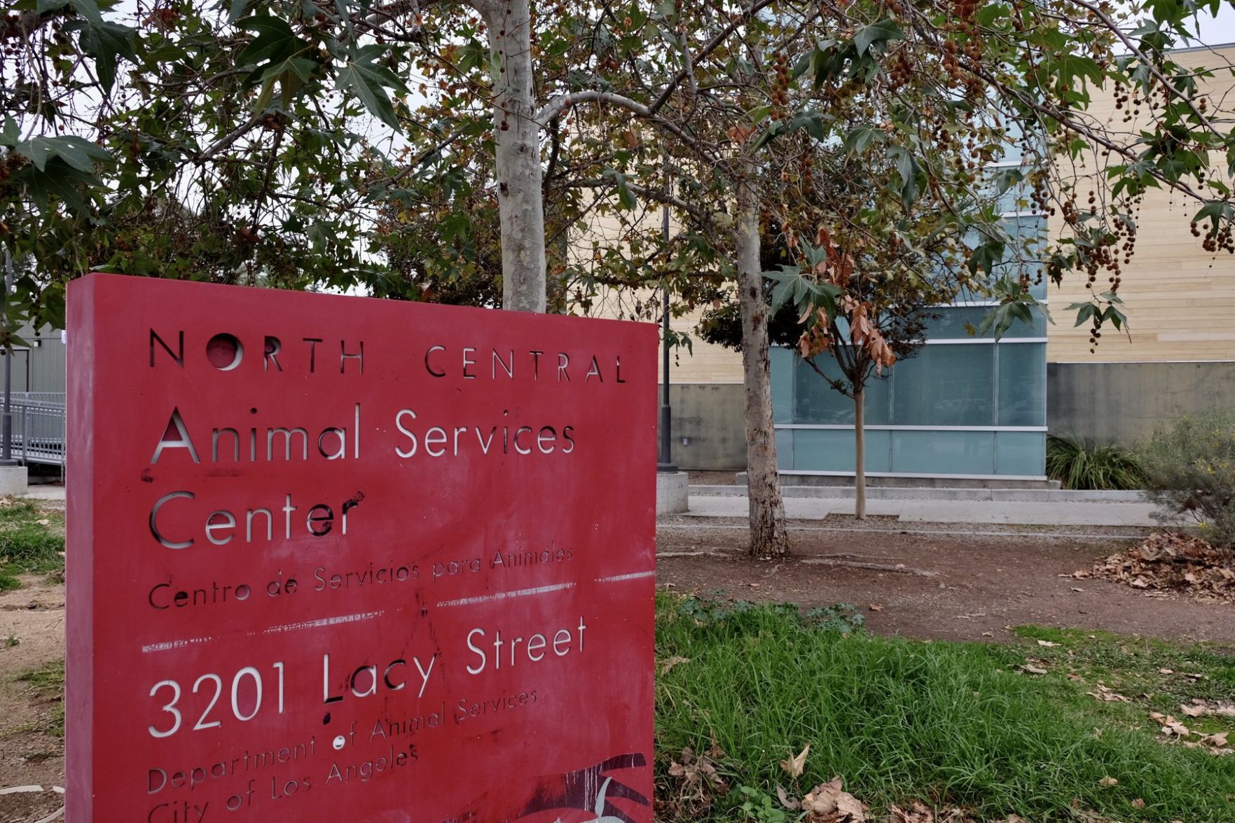 north central animal shelter sign Flora Adamian.jpg